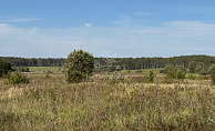 Московская область, село Мещерино, городской округ Ступино