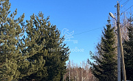 Московская область, ДНП Полевой Стан, городской округ Истра, Надовражино
