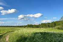 Московская область, село Трубино, городской округ Щёлково