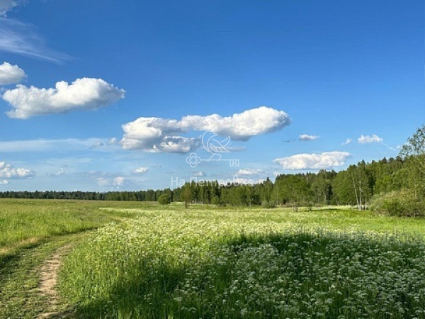 Московская область, село Трубино, городской округ Щёлково