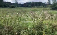 Московская область, город Волоколамск, деревня Себенки