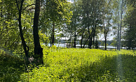 Московская область, коттеджный посёлок Большая вода, городской округ Истра