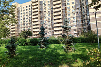 город Москва, поселение Сосенское, поселок Коммунарка, улица Александры Монаховой, дом 6 продажа квартиры Ольховая 1 комнаты