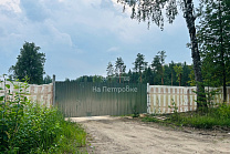 Московская область, деревня Копнино, Раменский городской округ