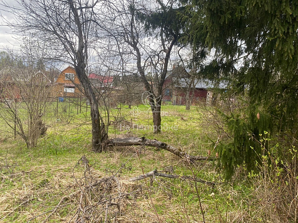 Московская область, город Наро-Фоминск, город Наро-Фоминск, территория СНТ Полиграфмаш (поселок Александровка), дом 33