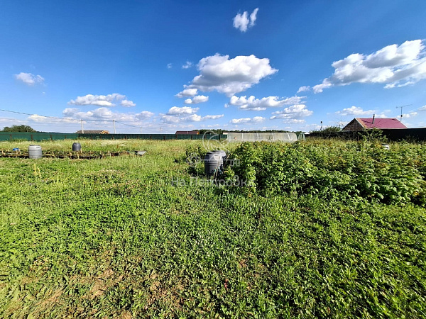 Московская область, деревня Алфёрово, городской округ Чехов