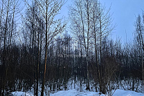 Московская область, село Стромынь, Богородский городской округ