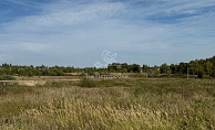 Московская область, село Сапроново, городской округ Ступино