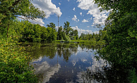 Московская область, село Трубино, городской округ Щёлково