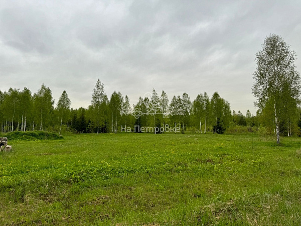 Московская область, деревня Ивково, Наро-Фоминский городской округ, 2