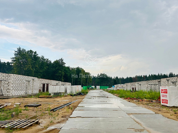 Московская область, деревня Копнино, Раменский городской округ