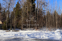 Московская область, ДНП Полевой Стан, городской округ Истра, Надовражино