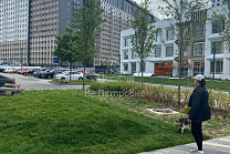 Москва, Берёзовая аллея, 19к1 продажа квартиры Ботанический сад 1 комнаты