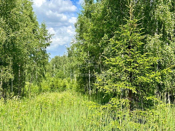 Московская область, коттеджный посёлок Мещерское Полесье, городской округ Чехов, 173