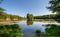 Московская область, деревня Пласкинино, Раменский городской округ