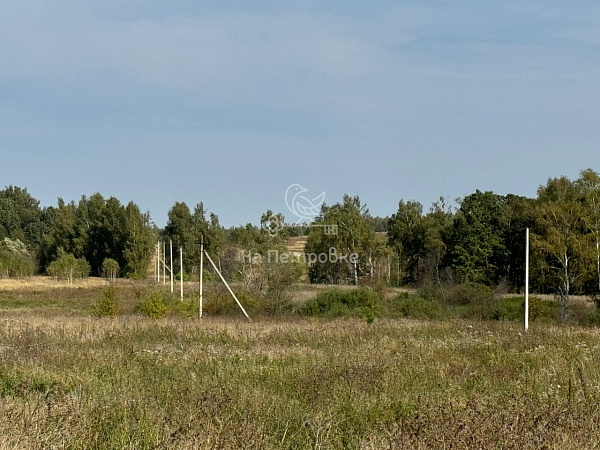 Московская область, село Сапроново, городской округ Ступино