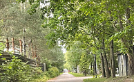 Московская область, село Левково, городской округ Пушкинский, Сосновая улица, 4