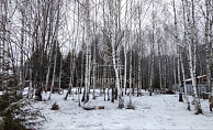 Москва, деревня Лужки, Краснопахорский район, микрорайон Солнечный город-1, Ромашковая улица