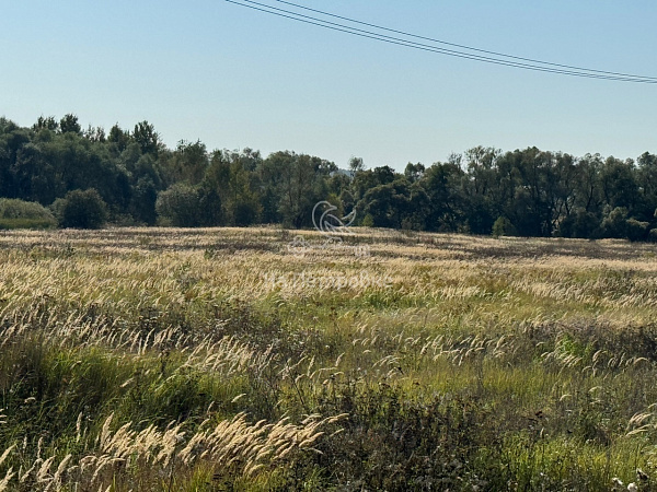 Московская область, село Мещерино, городской округ Ступино