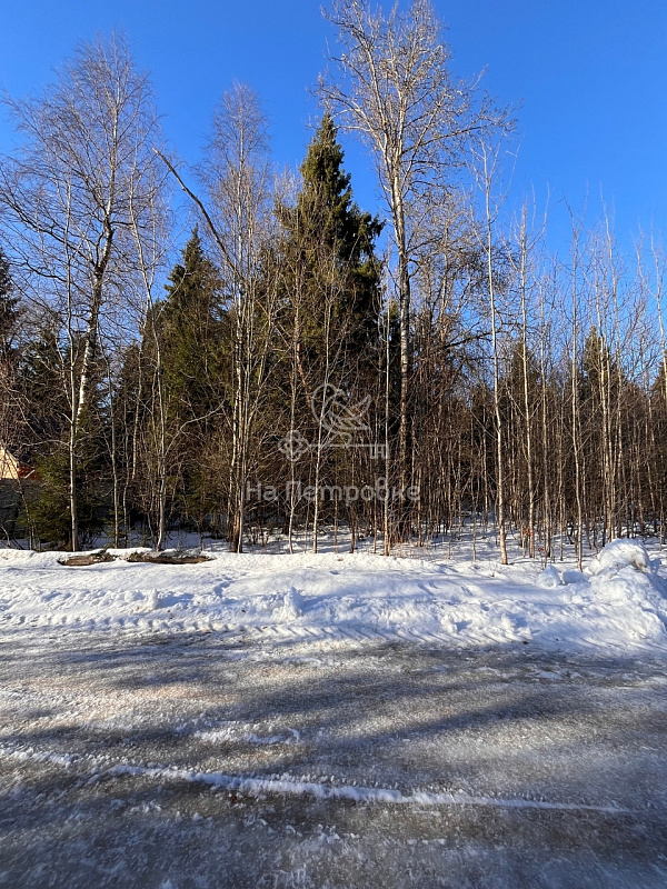 Московская область, ДНП Полевой Стан, городской округ Истра, Надовражино