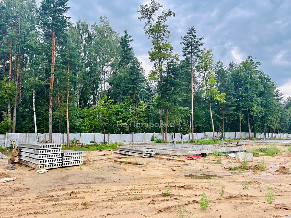 Московская область, деревня Копнино, Раменский городской округ