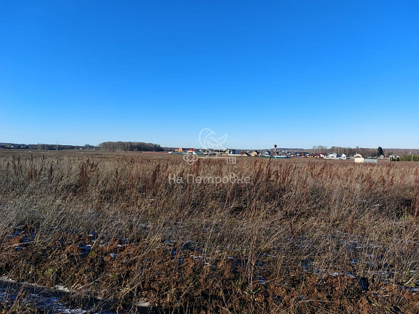 Московская область, поселок "Светлый", городской округ Домодедово, 252