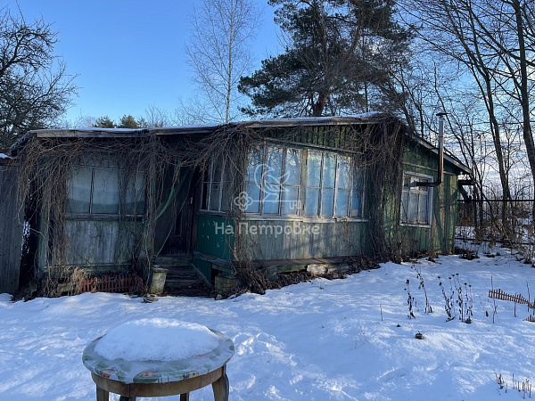 Московская область, СНТ Берёзки НПО Сатурн, городской округ Домодедово, Центральный переулок