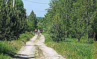 Тульская область, территория снт Лаптево (деревня Лаптево), район Заокский, территория снт Лаптево (деревня Лаптево)