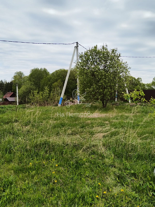 Московская область, деревня Люторецкое, городской округ Чехов